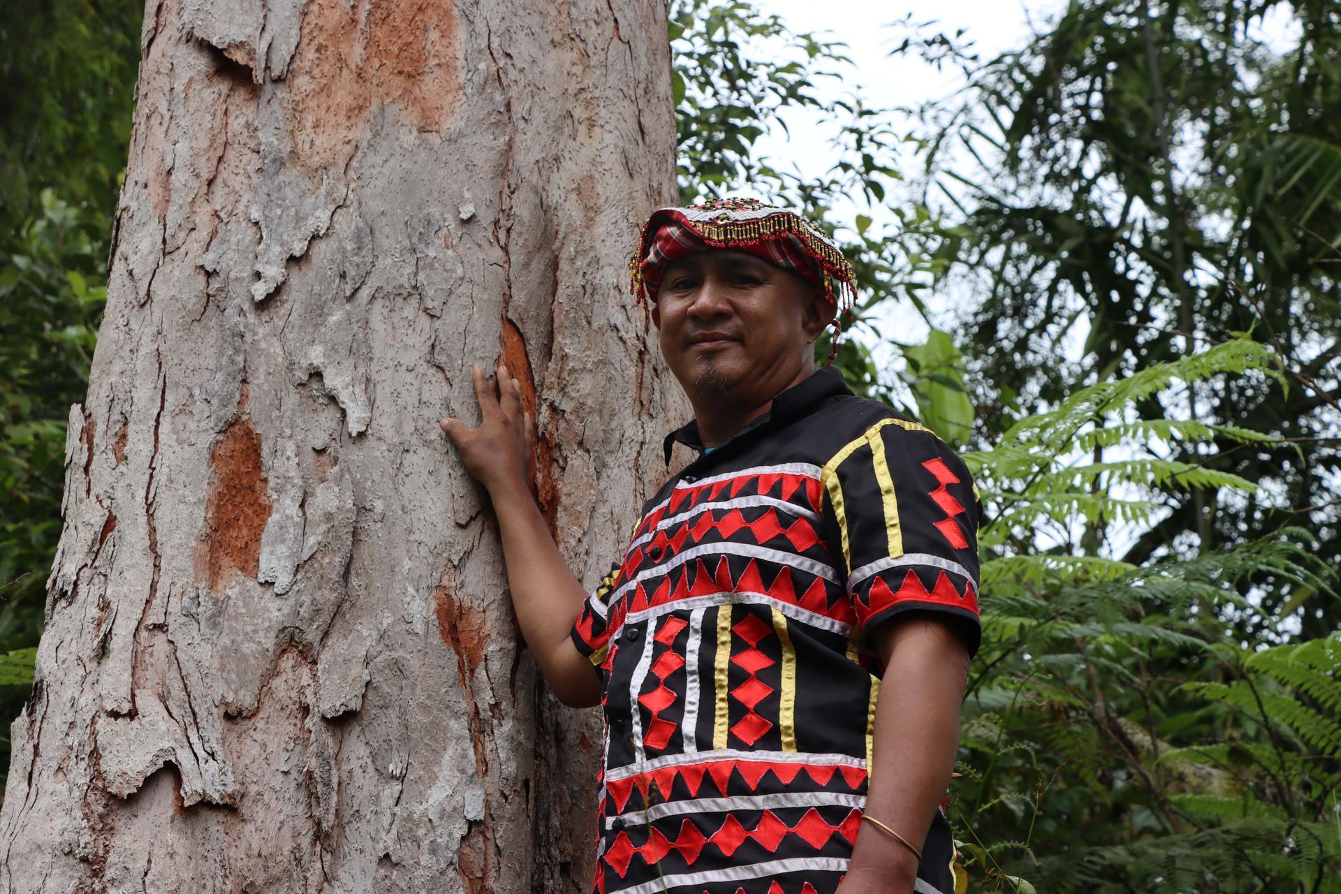 In the Philippines, a tribal leader guards a forest stronghold -Gallery of Datu Ramil’s photos - Image 2