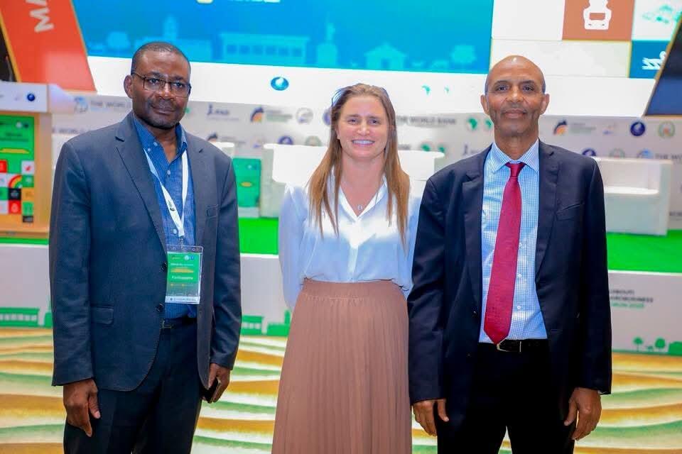 Investing at 45&deg;C - The Alliance charts Djibouti&rsquo;s climate-smart path - Image 5