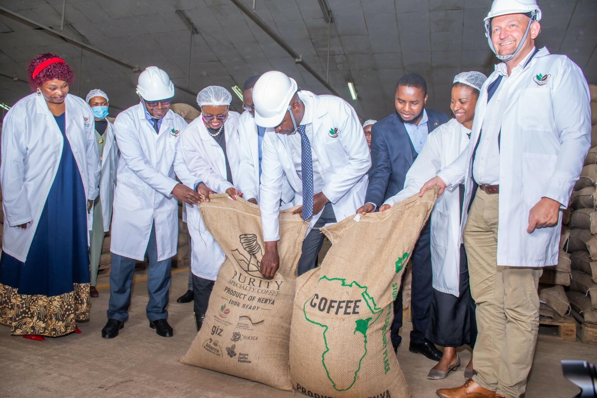 Kenya&rsquo;s first EUDR-ready coffee shipment - A milestone for sustainable trade - Image 1