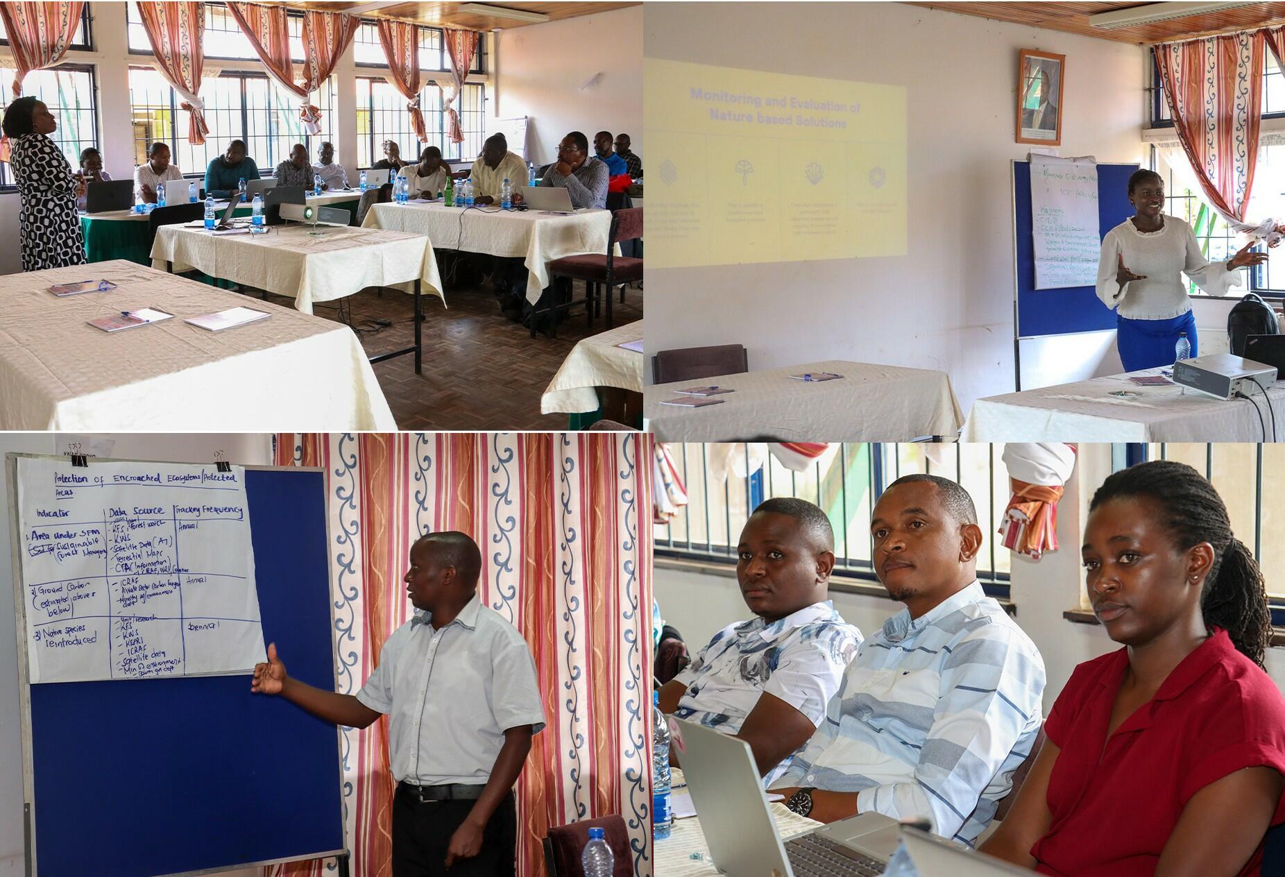 Kenya&rsquo;s frontier in nature-based solutions monitoring and evaluation - Image 1