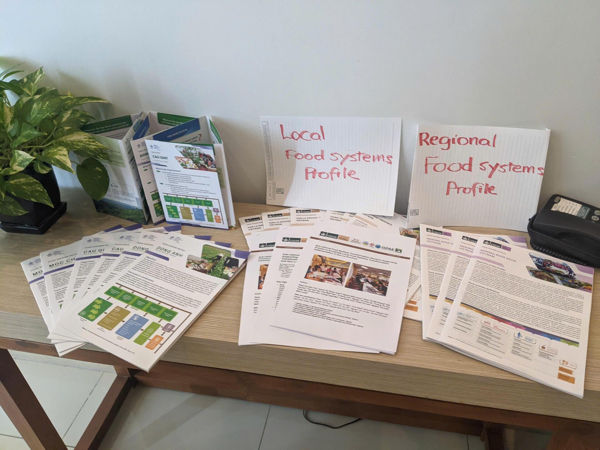 Key lessons from Vietnam's experience in co-creating food systems transformation decision supporting (FSDS) process - Image 3