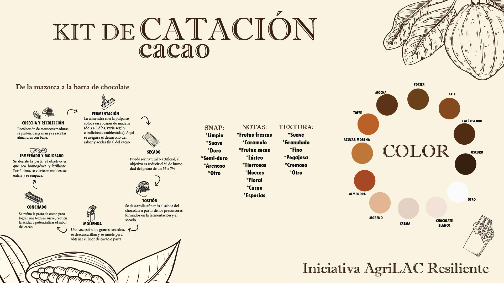 Kit de Catacion Cacao - Alliance Bioversity International - CIAT