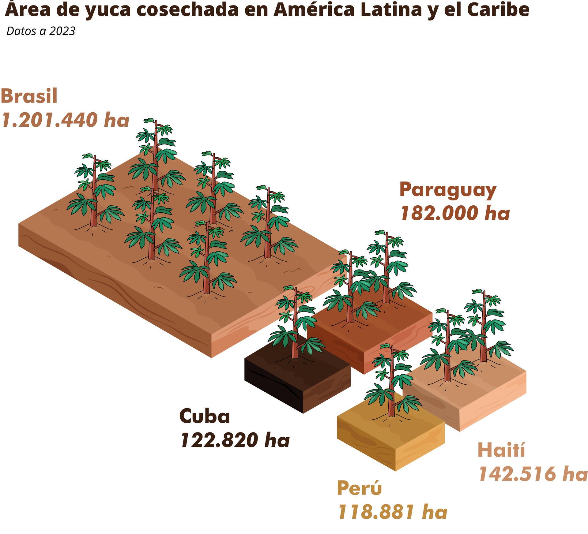 La enfermedad de la yuca &ldquo;escoba de bruja&rdquo; se propaga en Sudam&eacute;rica - &Aacute;rea de yuca cosechada_ESP