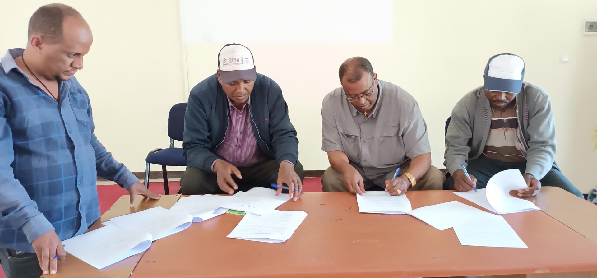 Landmark Agreement Paves the Way for Sustainable Durum Wheat Production and Livelihood Improvement in Ethiopia - Alliance Bioversity International - CIAT