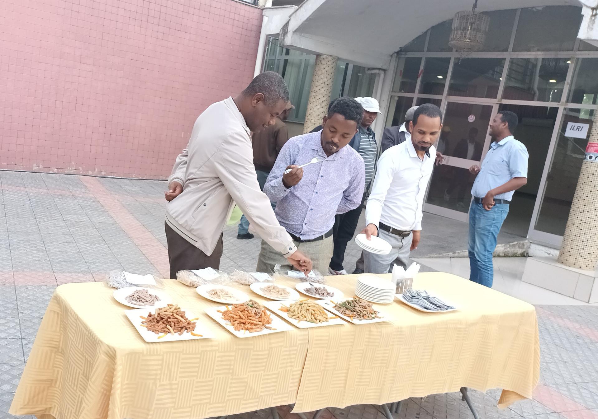 Landmark Agreement Paves the Way for Sustainable Durum Wheat Production and Livelihood Improvement in Ethiopia - Alliance Bioversity International - CIAT - Image 2