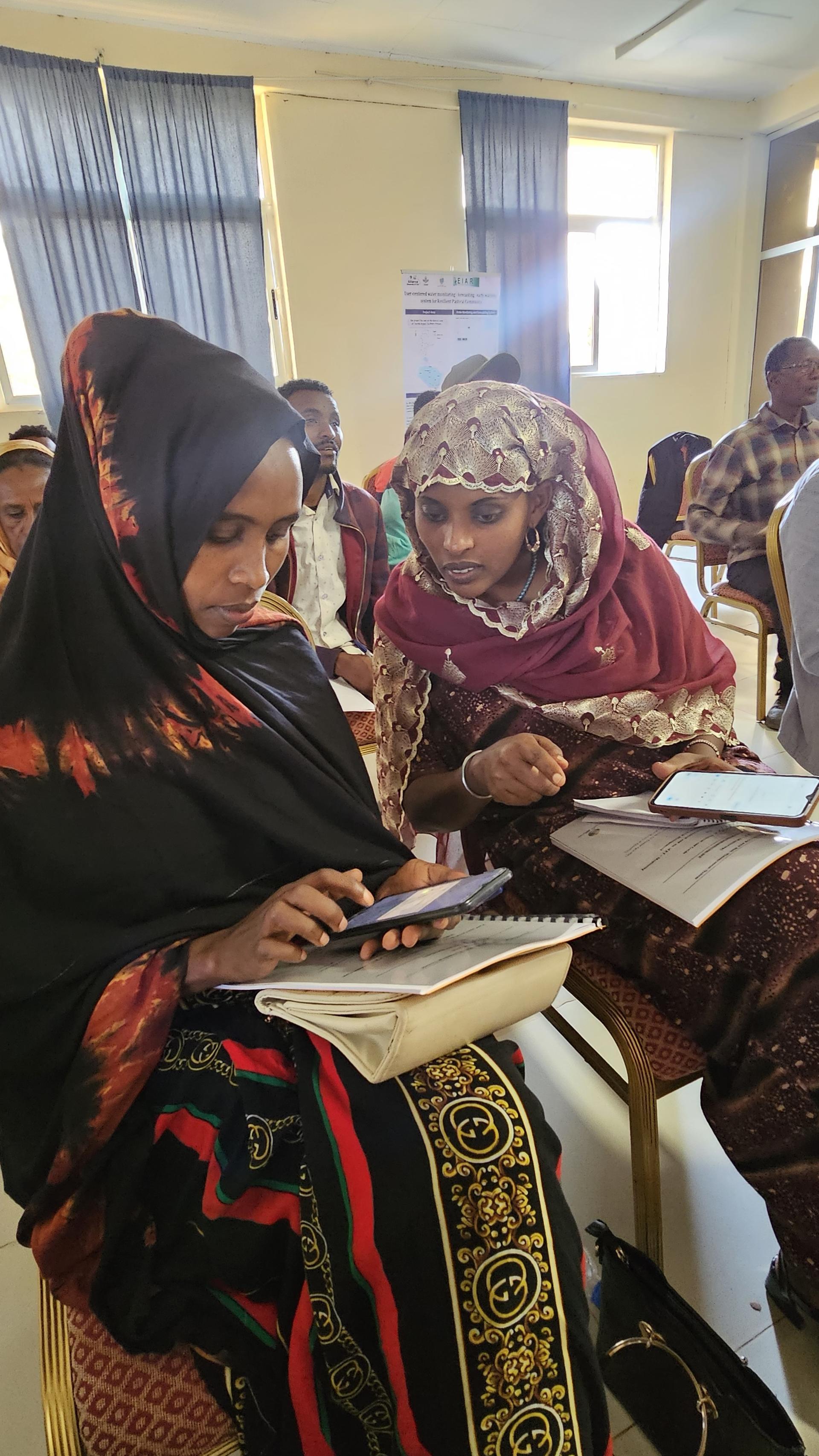 Launching a User-Centered Rangeland and Water Monitoring System for Early Warning in Ethiopia's Pastoral Areas - Image 6 - SMS