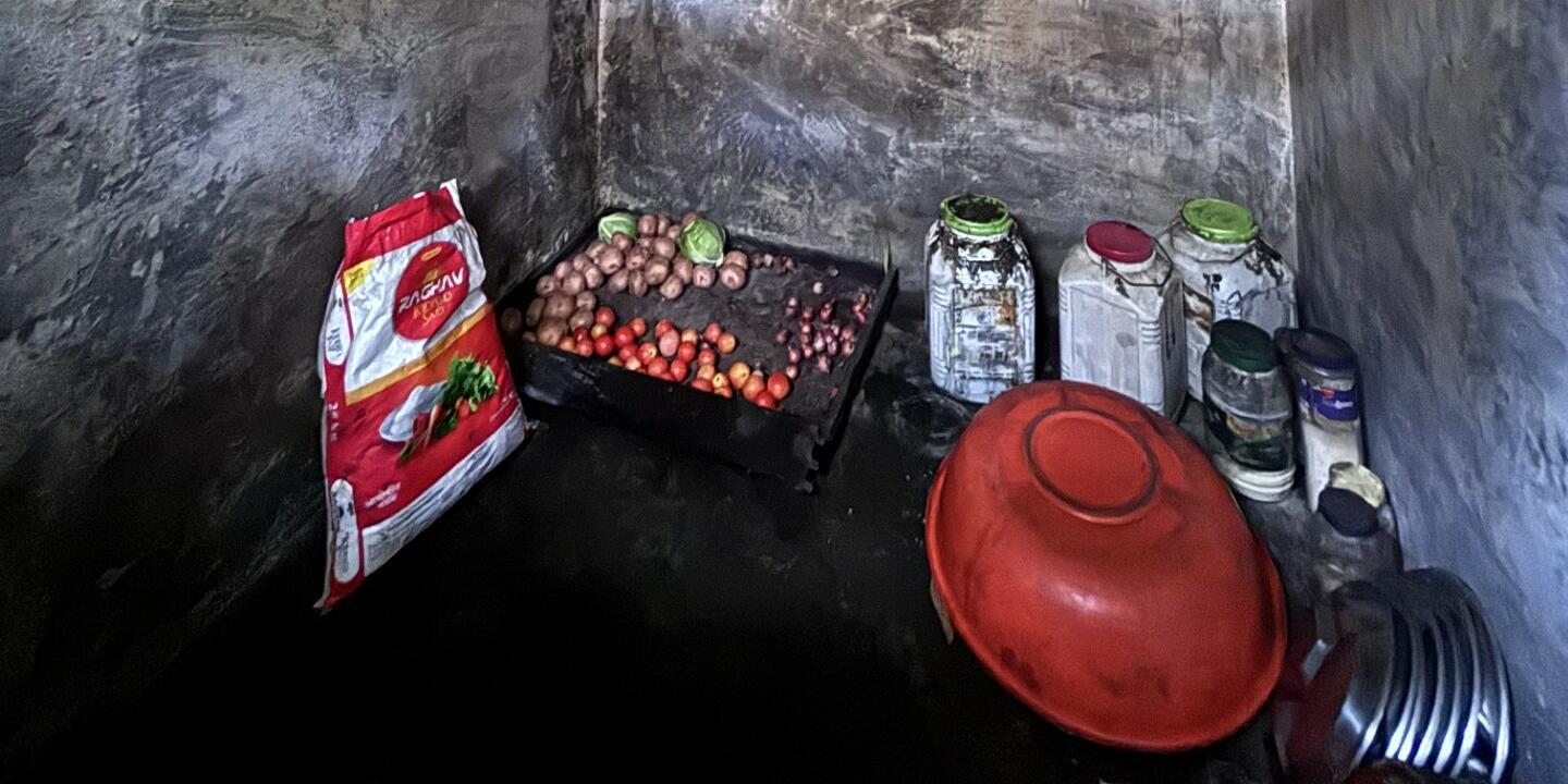Lessons from Piloting a Tool to Monitor Agrobiodiversity and Social Inclusion in School Meal Programmes in India - Image 3