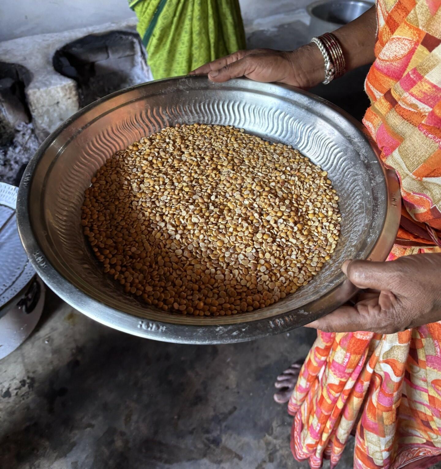 Lessons from Piloting a Tool to Monitor Agrobiodiversity and Social Inclusion in School Meal Programmes in India - Image 4