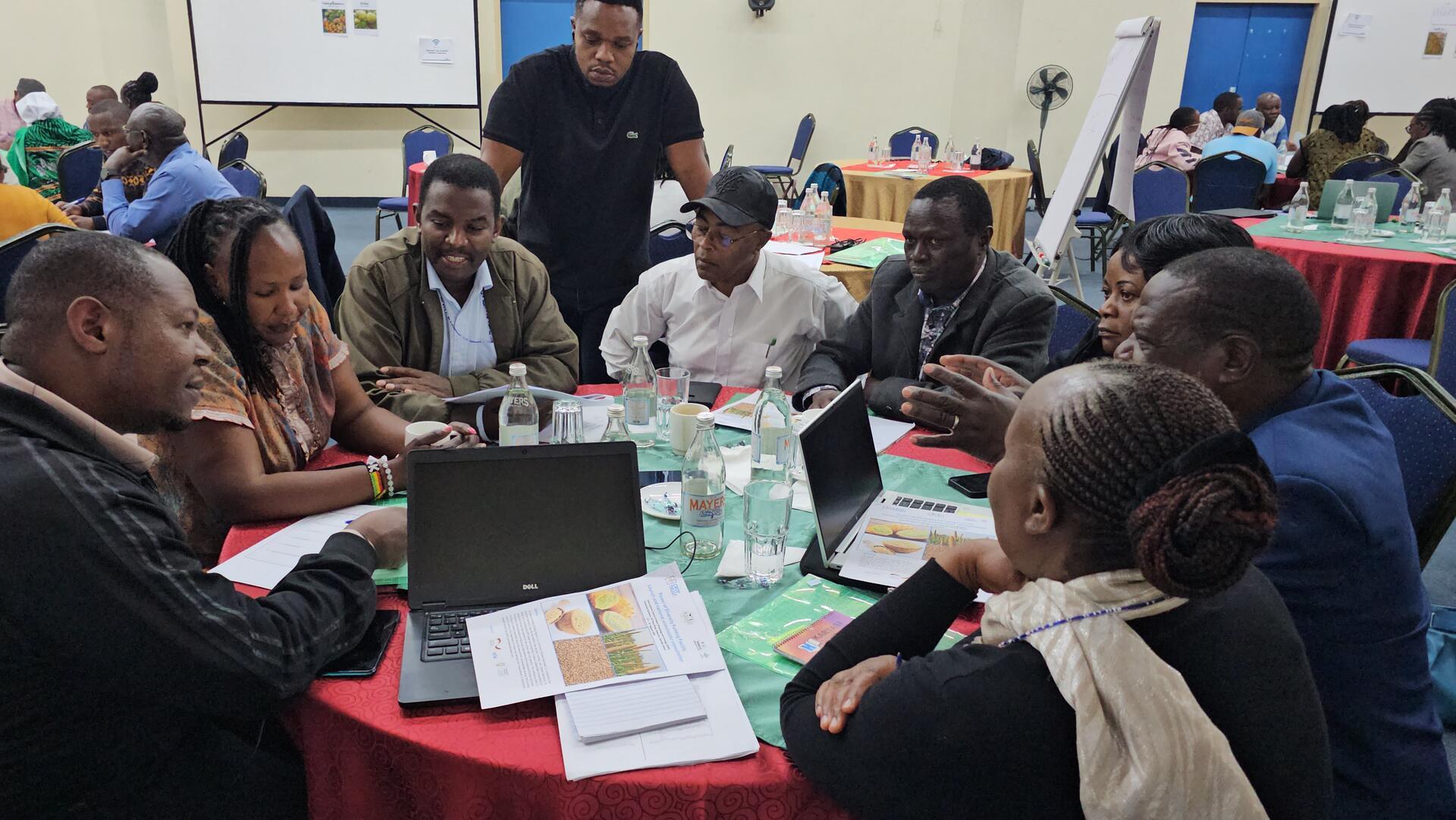 Leveraging Opportunity Crops to Transform Food Systems - Unveiling the Power of Diversity Funding Facility in Nigeria, Zambia & Kenya - Image 3