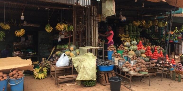 Mapping food environments and associated sustainability and nutritional sensitivity of underutilized nutrient dense food value chains in Uganda - Image 3