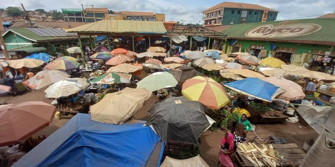 Mapping food environments and associated sustainability and nutritional sensitivity of underutilized nutrient dense food value chains in Uganda - Image 5
