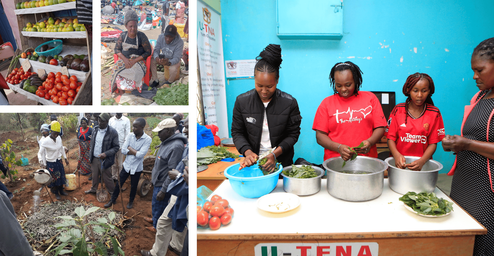 Micro, Small and Medium Enterprises (MSMEs) as an Entry Point for Improving Diets of Consumers in the Informal Neighborhoods of Africa - Image 1