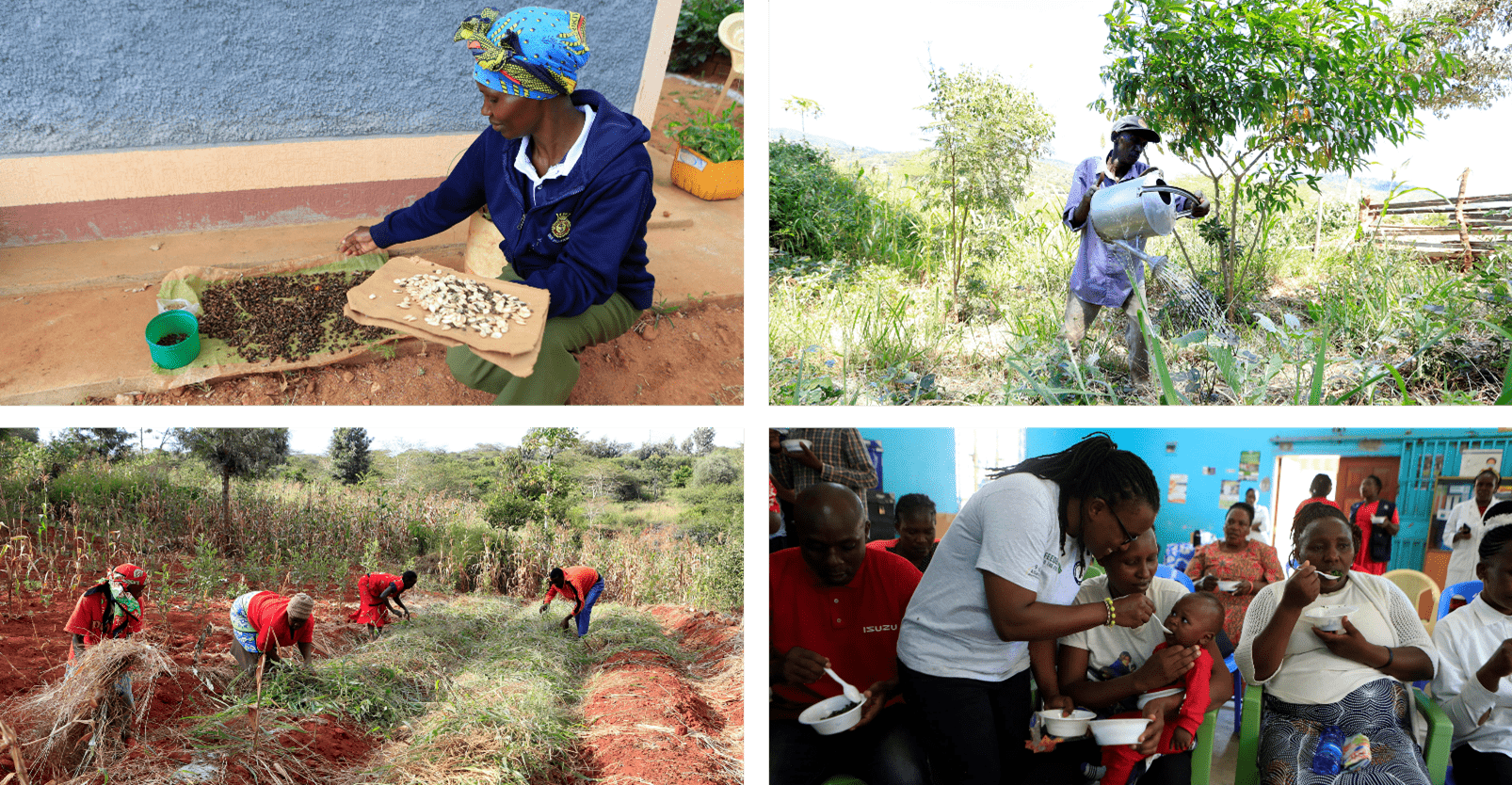 Micro, Small and Medium Enterprises (MSMEs) as an Entry Point for Improving Diets of Consumers in the Informal Neighborhoods of Africa - Image 3