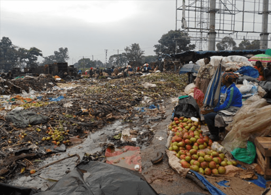 Micro, Small and Medium Enterprises (MSMEs) as an Entry Point for Improving Diets of Consumers in the Informal Neighborhoods of Africa - Image 8