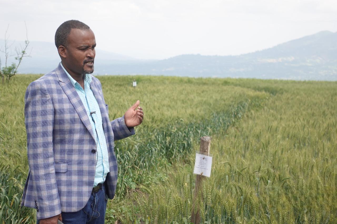 Mr. Mulegeta Temesgen explained location-specific fertiliser Recommendation for wheat productivity and sustainability - Alliance Bioversity International - CIAT