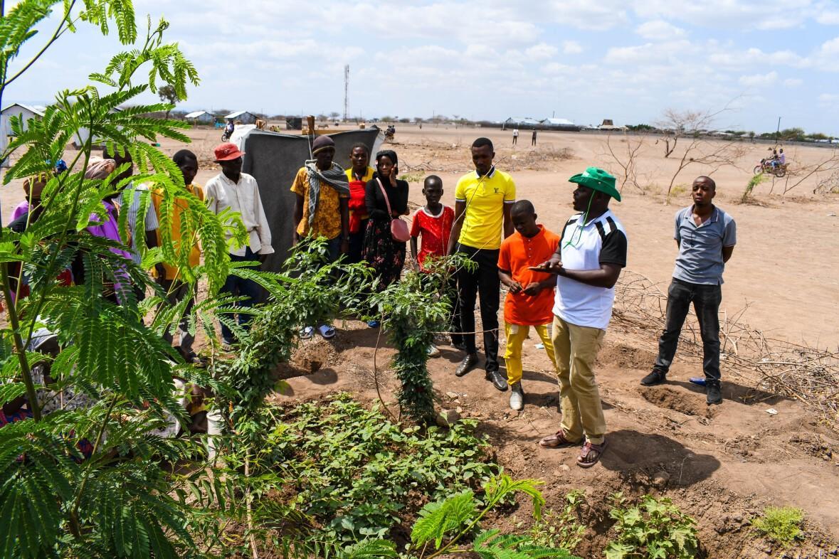 Nature-Based Solutions Reshape Lives for East African Refugees in Kenya - Alliance Bioversity International - CIAT