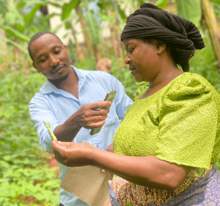 NDIZI - Alliance Bioversity International - CIAT - Image 2