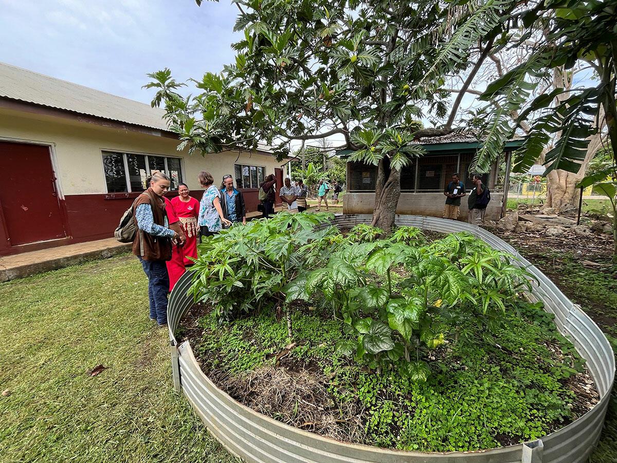 Neglected No More - Why Climate-Smart Underutilized Foods Belong on School Meal Menus  - Image 1