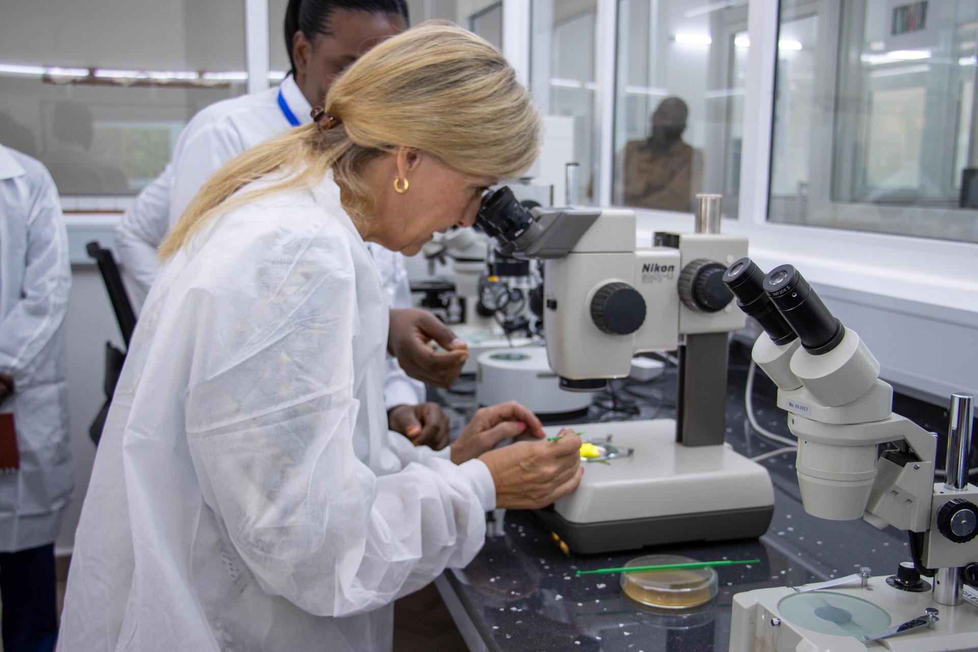 New Laboratory Enhances Agricultural Resilience through Partnerships in Tanzania - Image 1