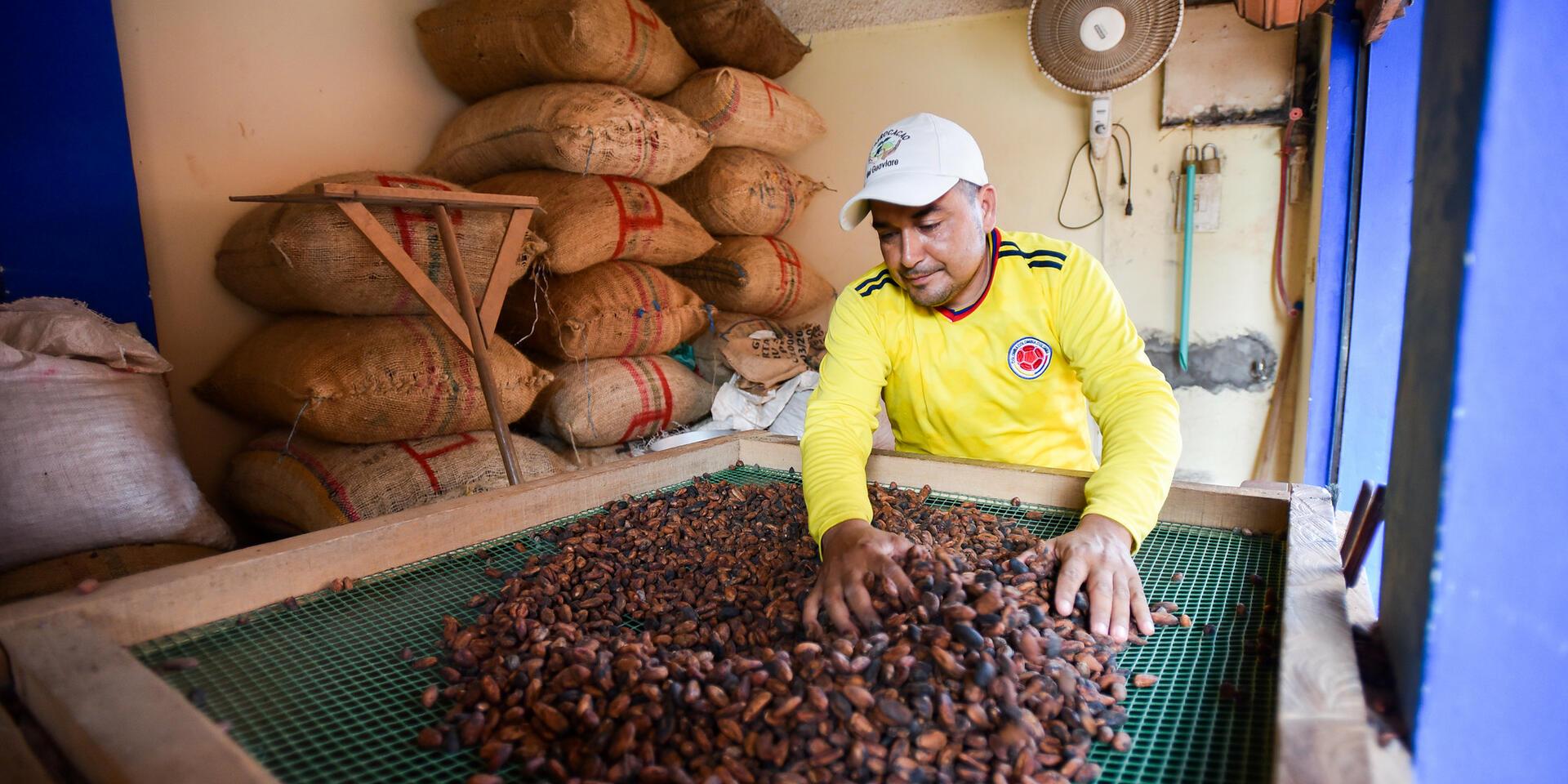 New mapping system ends farm mislabeling, protecting coffee and cacao trade - Image 1