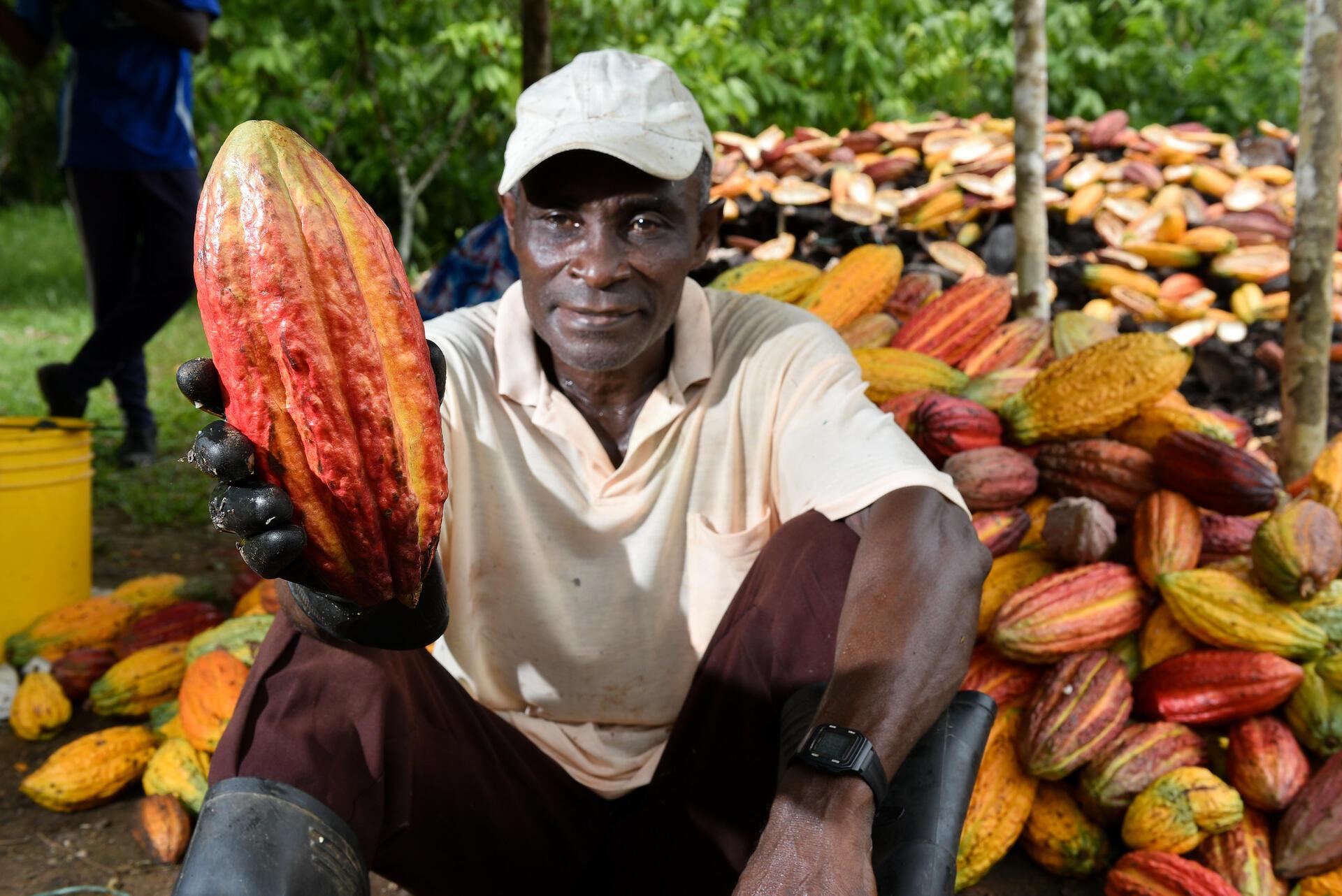 New mapping system ends farm mislabeling, protecting coffee and cacao trade - Image 3