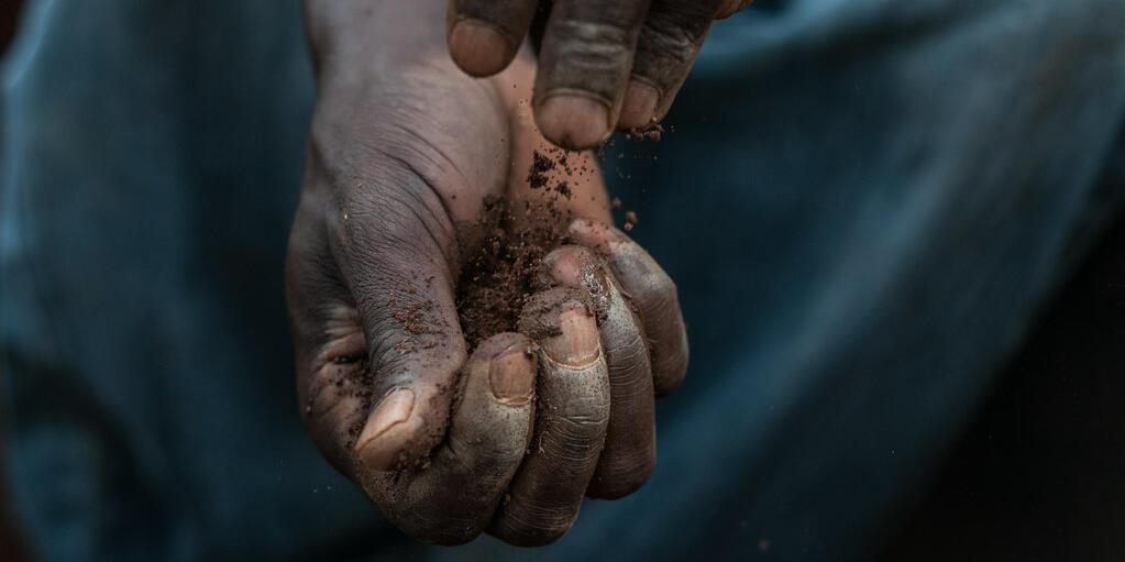New THRIVE project launches to advance plant diversification and inclusive value chains across East Africa - Image 1