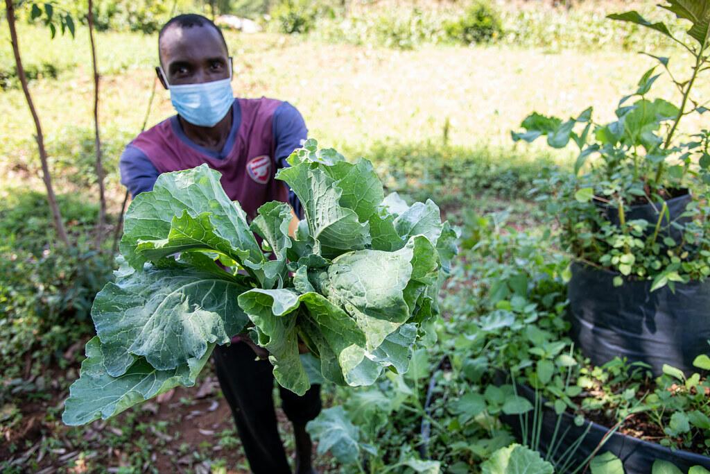 New THRIVE project launches to advance plant diversification and inclusive value chains across East Africa - Image 3