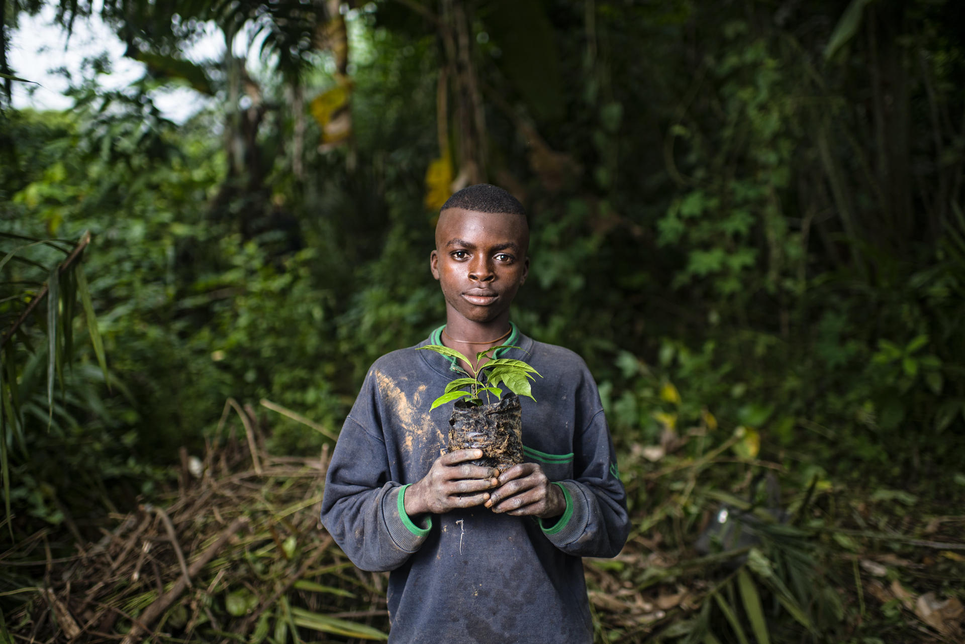 Ngotimi Rodrigue holds a Gnetum (okok) plant in the village of Minwoho, Lekié, Center Region, Cameroon.