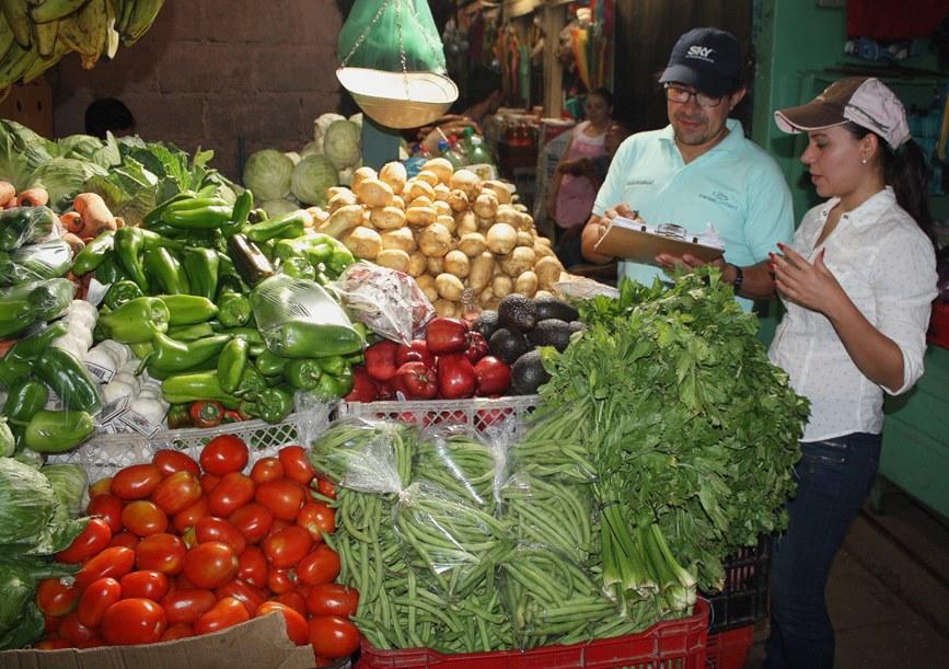 Mercados Informales para la Reducción de la Pobreza y Seguridad Alimentaria: Explorando Opciones de Políticas en Nicaragua y Honduras