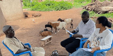 Optimizing farming systems for sustainable intensification in Savulgu district, Northern Ghana Insights from fieldwork - Image 2