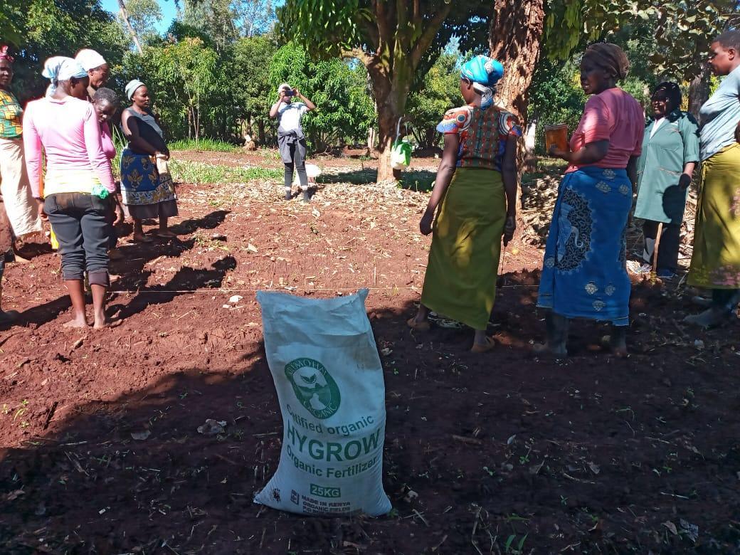 Organic Waste Recycling for a Sustainable Food Future in Kenya - Organic Fields - Photo 2