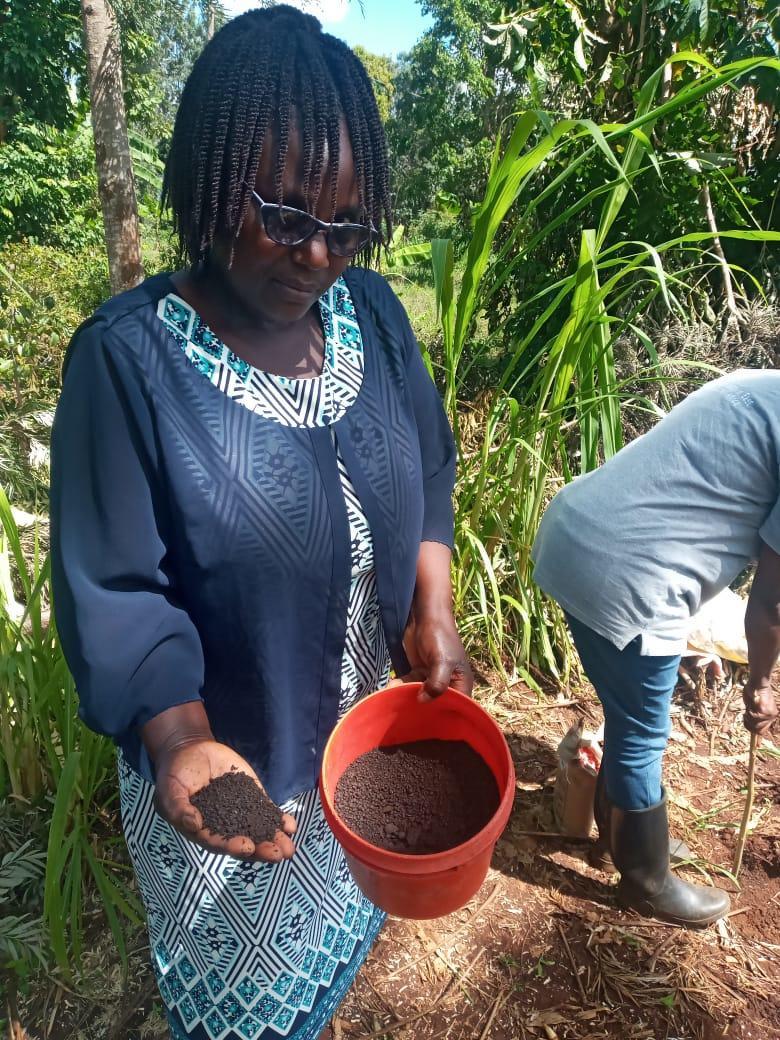 Organic Waste Recycling for a Sustainable Food Future in Kenya - Organic Fields