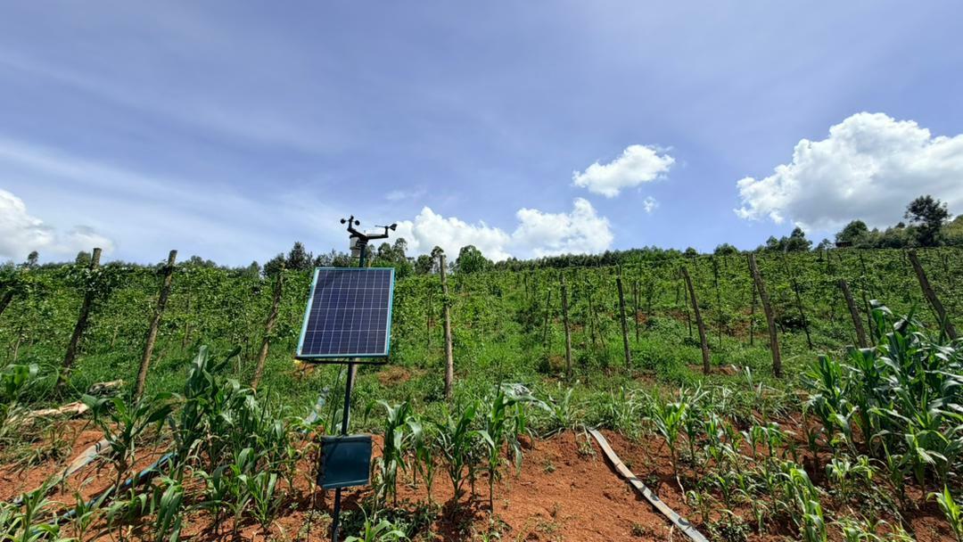 Partnerships for scaling climate-smart investment Rwanda Green Fund & ImpactSF - Image 5