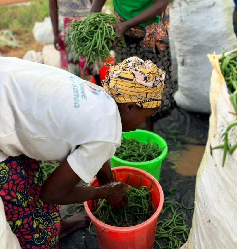 Partnerships for scaling climate-smart investment Rwanda Green Fund & ImpactSF - Image 6