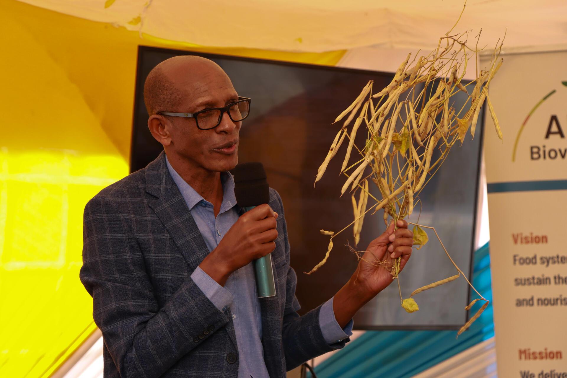 Partnerships hold the key to Africa&rsquo;s food systems transformation - Alliance of Bioversity International and CIAT - Image 1