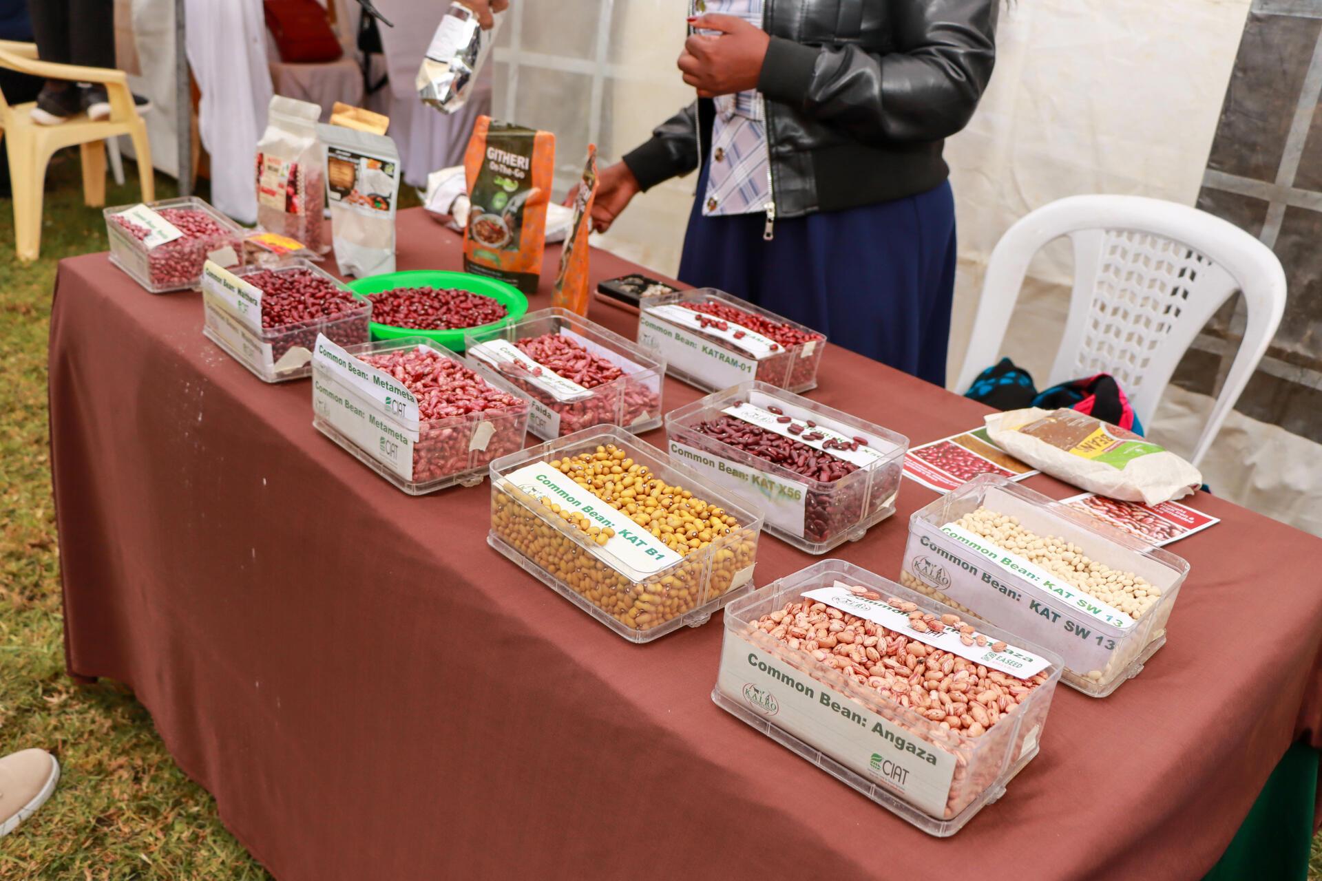 Partnerships hold the key to Africa&rsquo;s food systems transformation - Alliance of Bioversity International and CIAT - Image 2