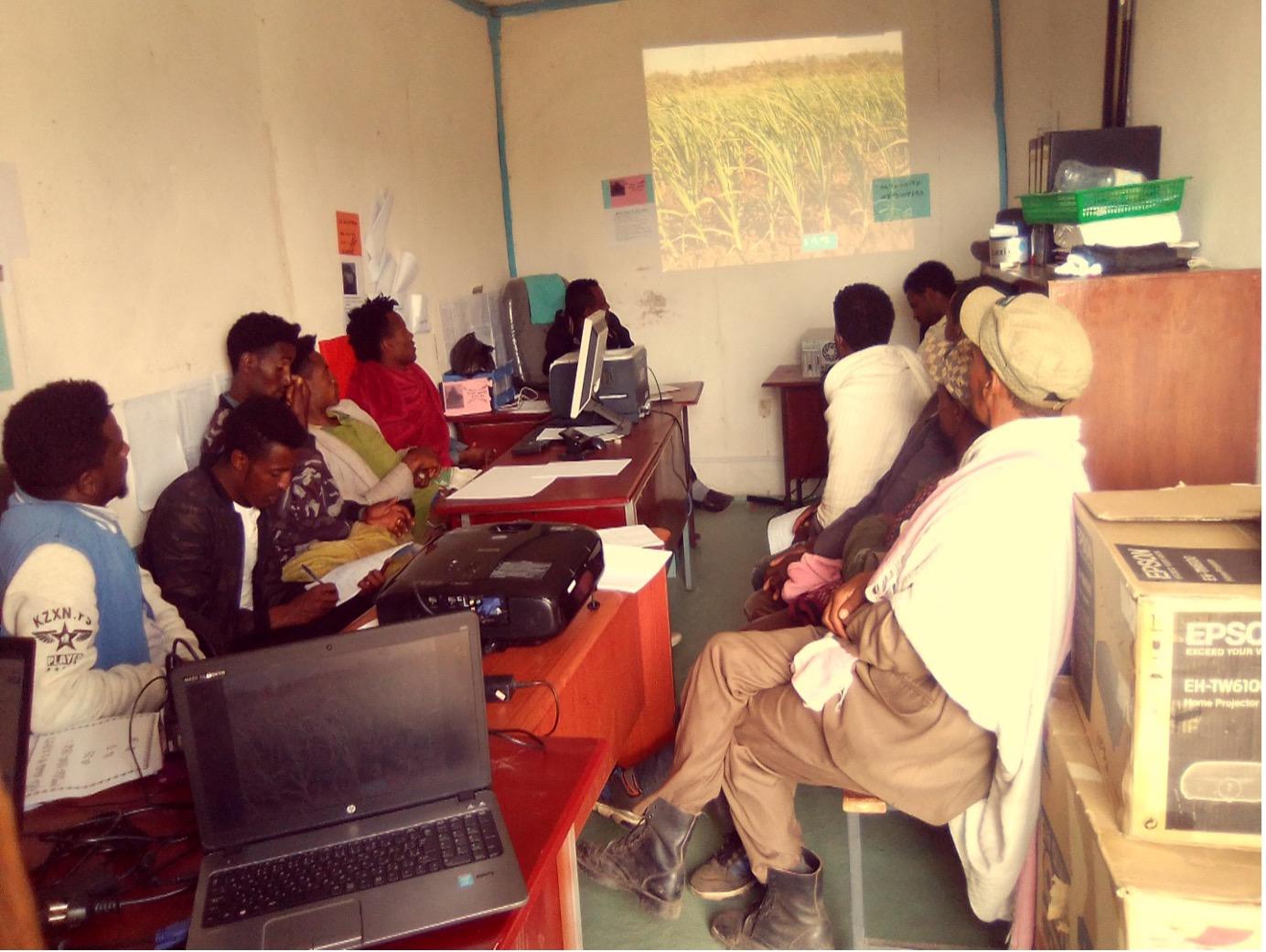 Figure 1. Meeting between youth, irrigation experts from the Bureau of Agriculture, and an expert from the Alliance of Bioversity and CIAT at the Debre Brehan Woreda Bureau of Agriculture