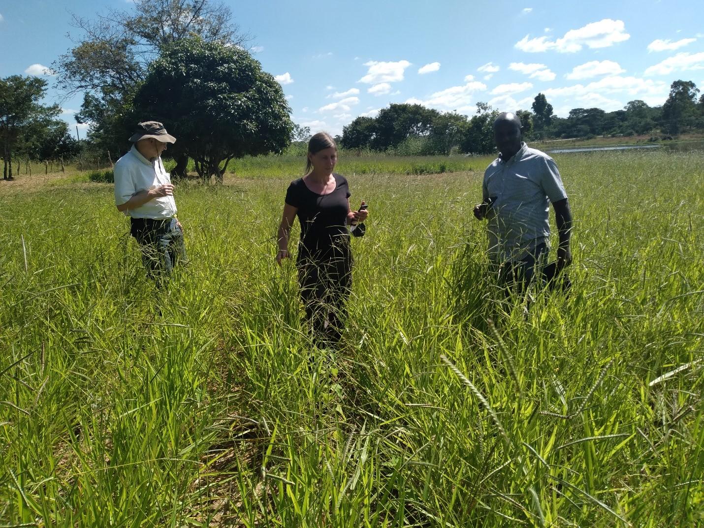 Alliance team assessing a demonstration site in Choma, Zambia