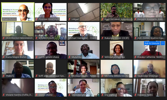 Participants of the virtual workshop on Access and Benefit Sharing of crop wild relatives in Eastern and Southern Africa
