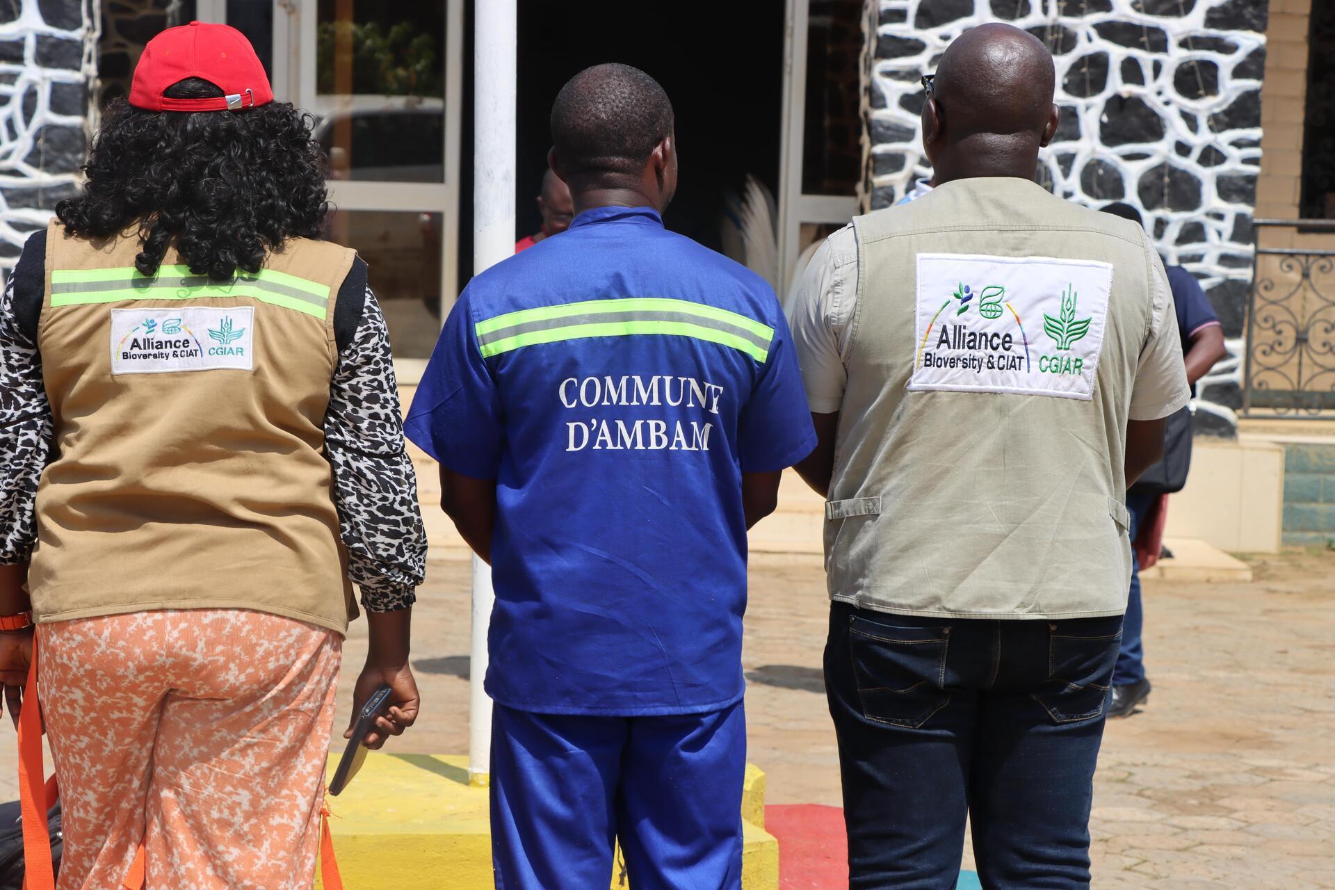 Plant, connect, transform The MyFarmTrees model put to the test in the field  - Alliance Bioversity International - CIAT - Image 2
