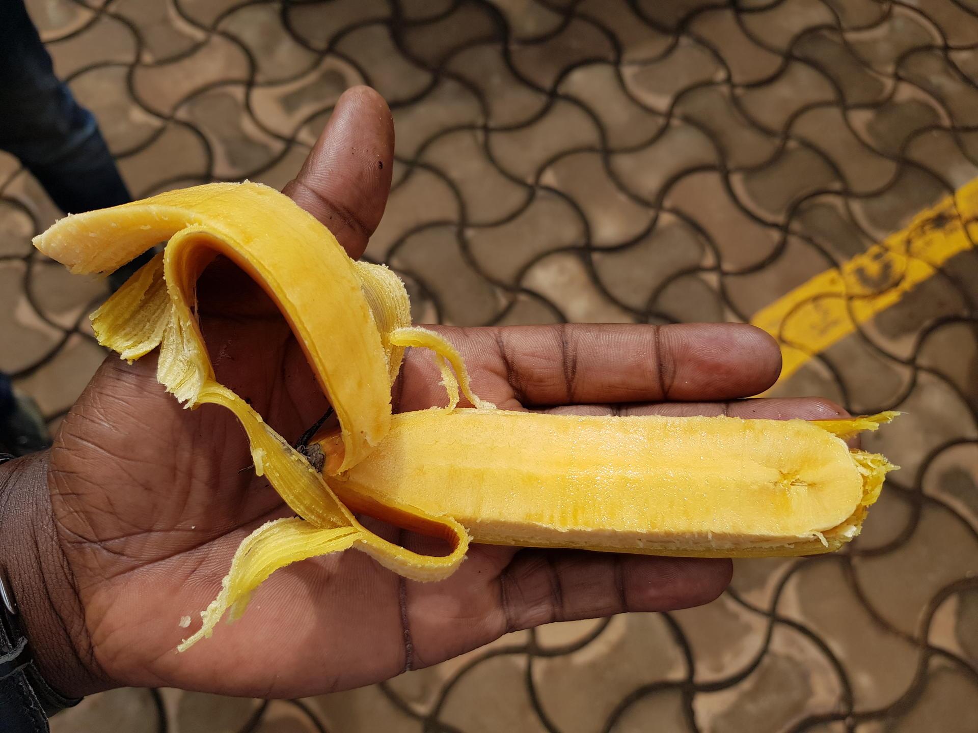 Planting Hope, Harvesting Health Combating Vitamin A Deficiency in East Africa with Nutrient-Rich Bananas - Alliance Bioversity International - CIAT - Image two