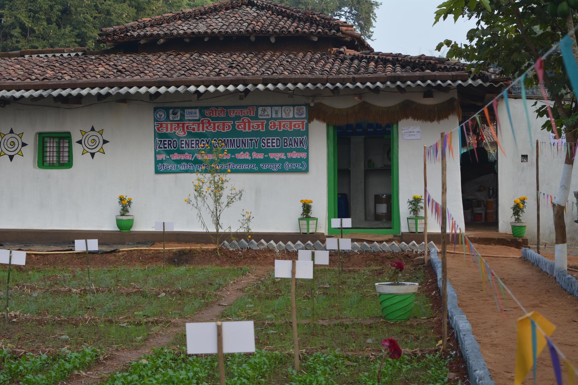 Planting seeds of hope in India - Alliance Bioversity International - CIAT
