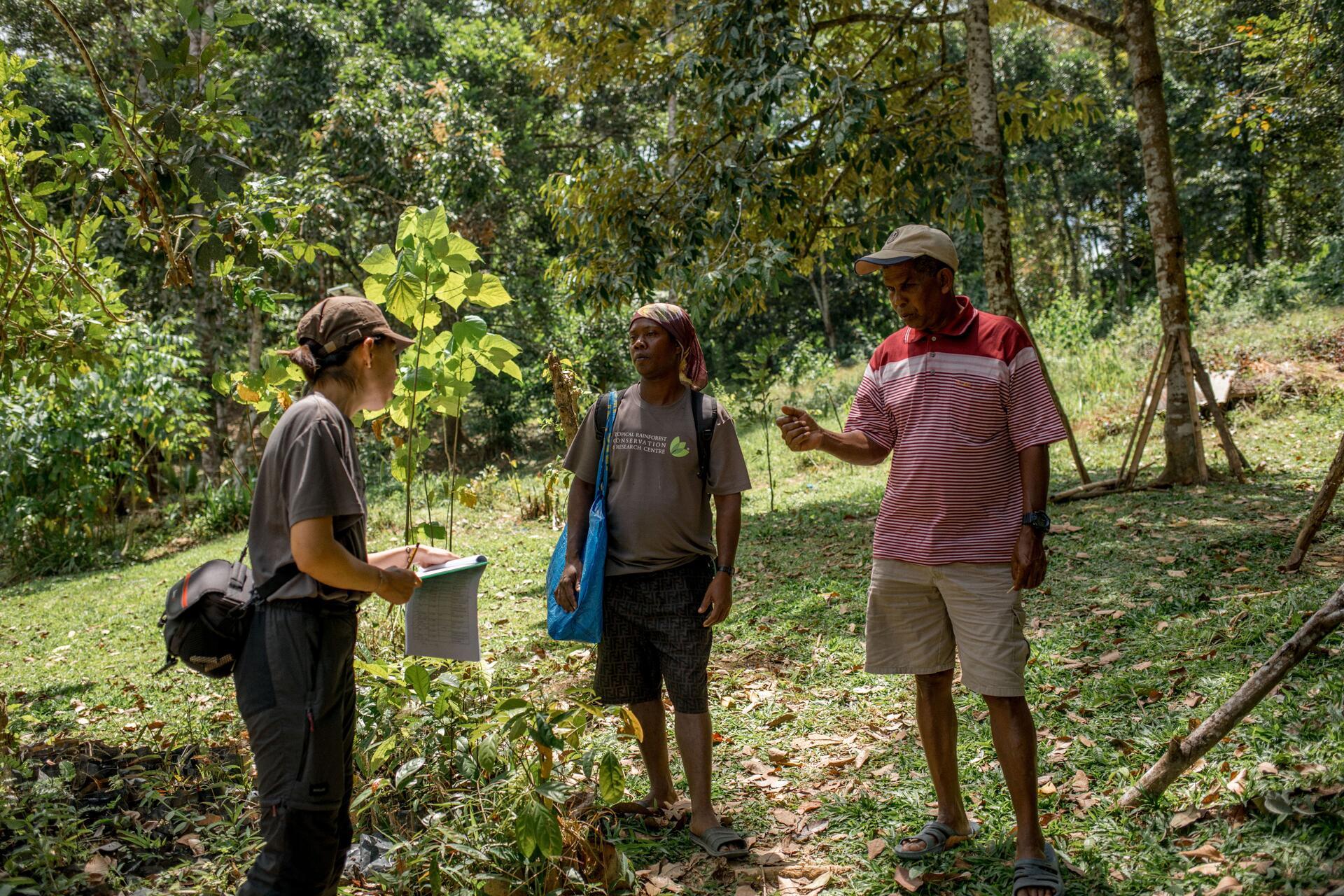 Planting the right seed in the right soil in Asia's forests - Image 2