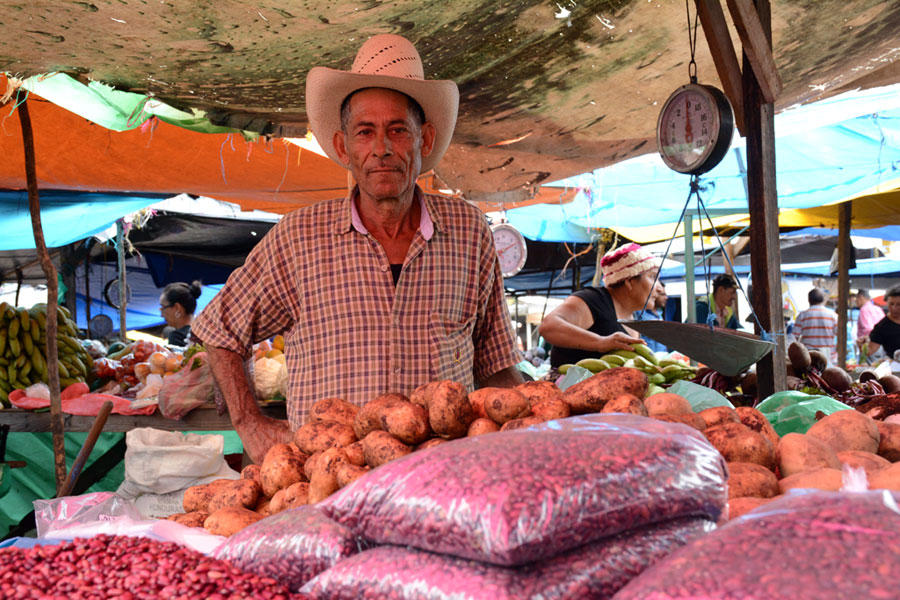 Strengthening traditional markets benefits small producers and poor consumers