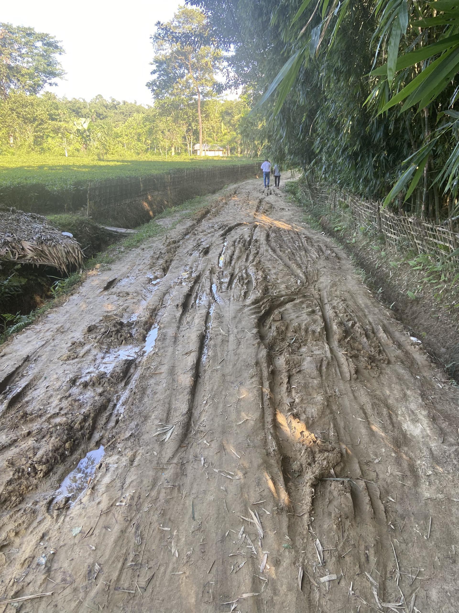 Poor road conditions and a lack of infrastucture characterize the area that the above Tea Tribe woman and her family live and work in - Alliance Bioversity International - CIAT