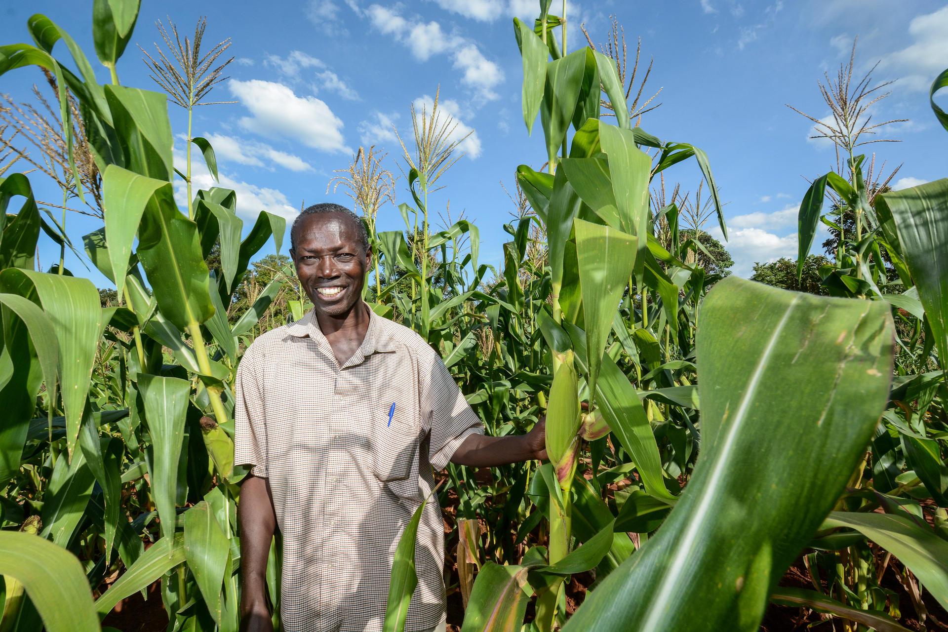 Projects and Flagship Initiatives in Benin - Alliance Bioversity International - CIAT - Image 1