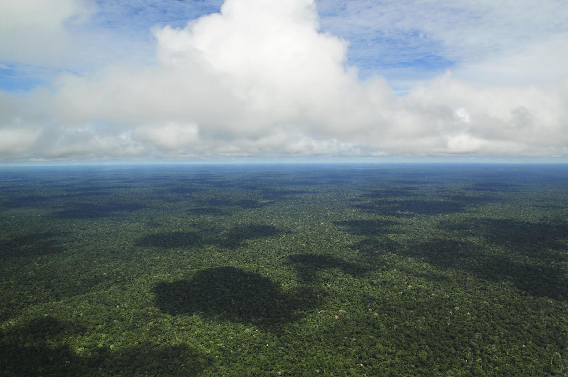 Projects and Flagship Initiatives in Brazil - Amazon - Alliance Bioversity International - CIAT