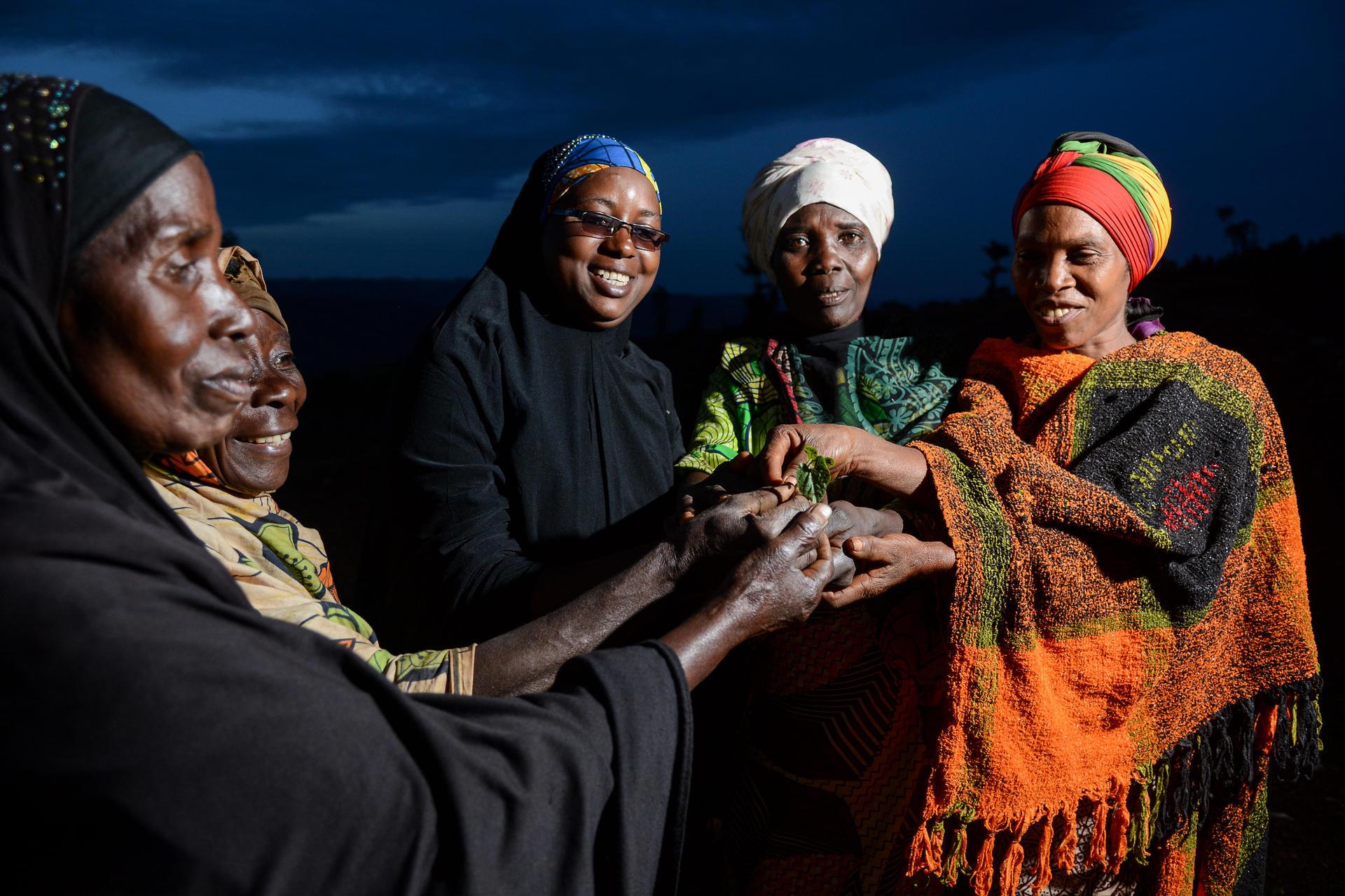 Projects and Flagship Initiatives in Burundi - Alliance Bioversity International - CIAT - Image 2