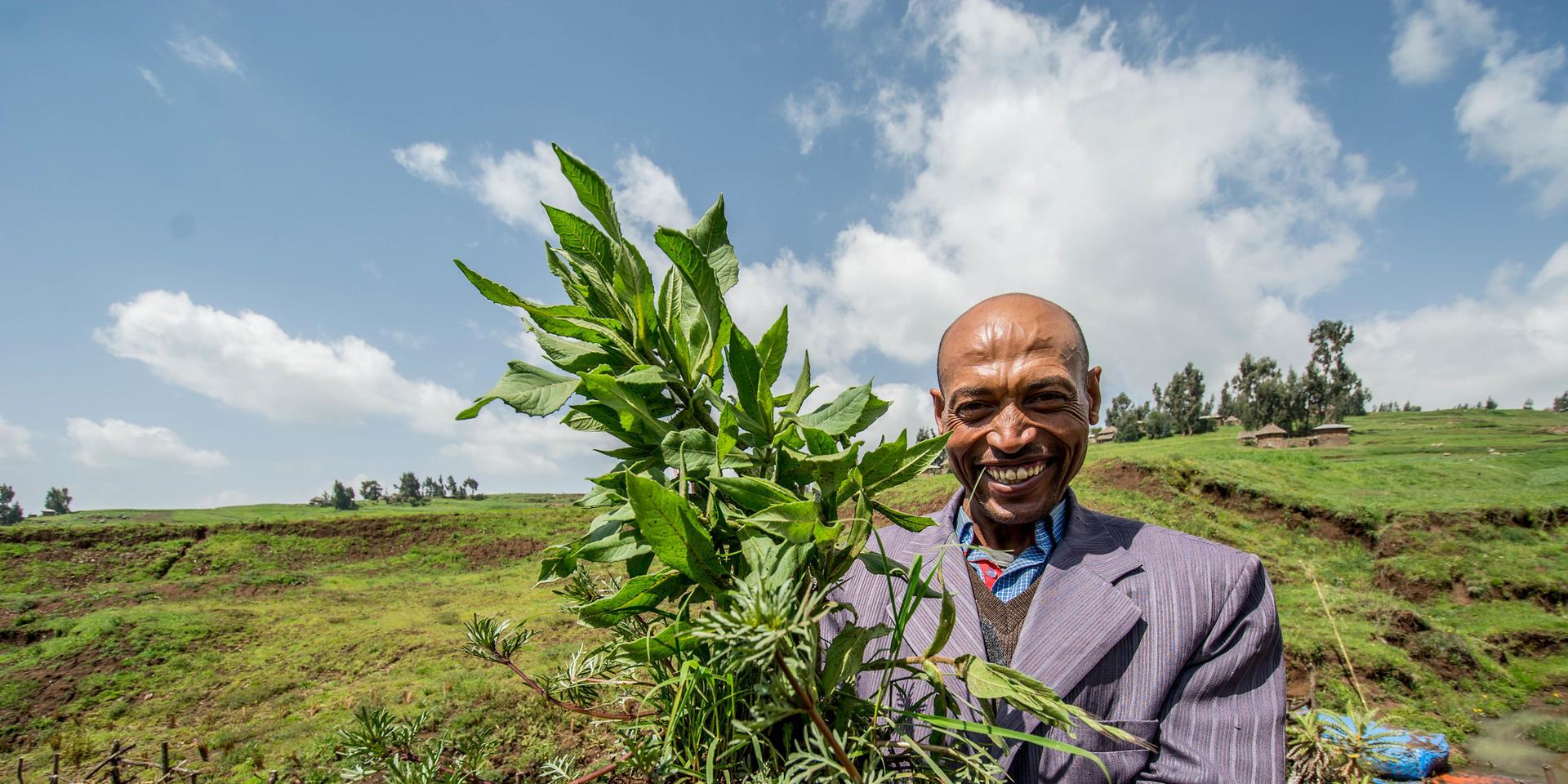 Projects and Flagship Initiatives In Ethiopia - Alliance Bioversity International - CIAT