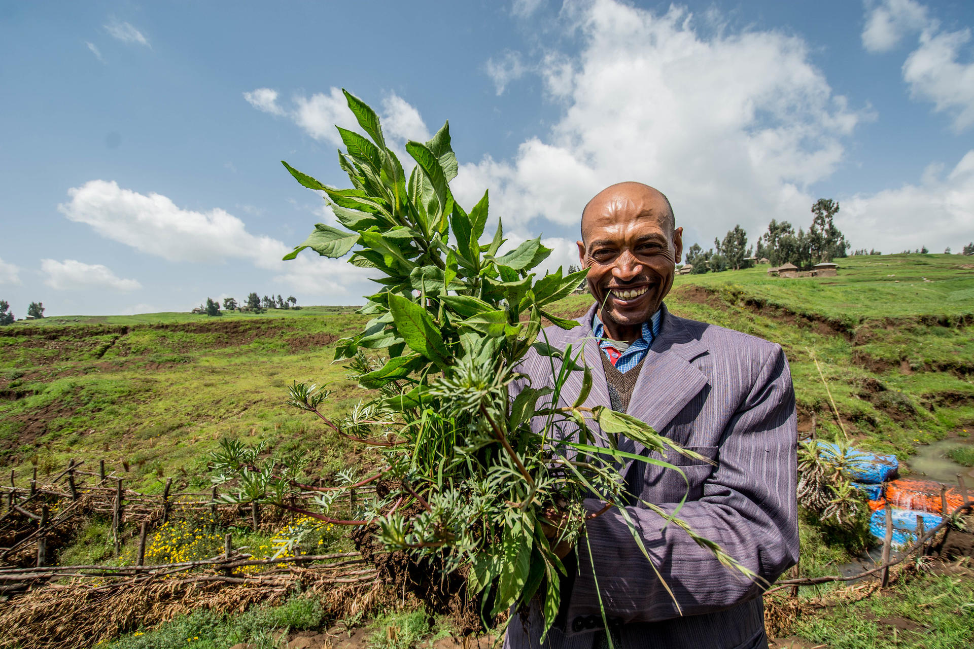 Projects and Flagship Initiatives In Ethiopia - Alliance Bioversity International - CIAT
